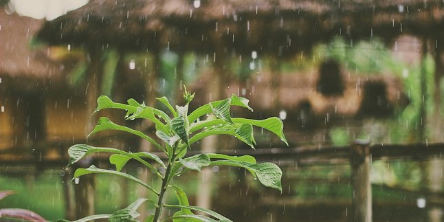 5 Prayers for Rain that Every Muslim Should Know, So One of the Mustajab Times