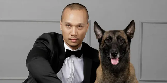 5 Fakta Anjing Bima Aryo Gigit ART Hingga Meninggal 5 Fakta Anjing Bima Aryo Gigit ART Hingga Meninggal