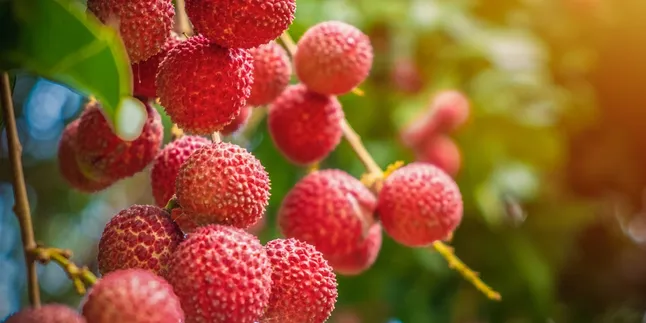 5 Keajaiban Leci untuk Kesehatan, Sangat Ampuh Melawan Risiko Kanker!