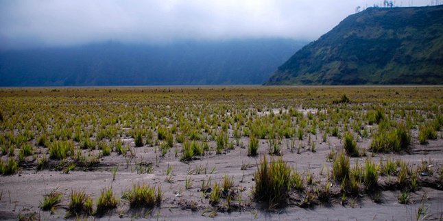 5 Types of Ecosystems in Indonesia that Must be Preserved