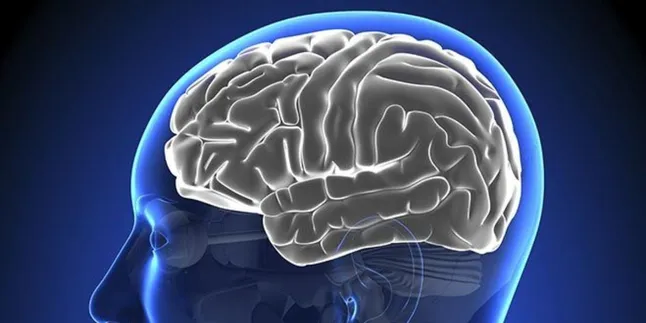 5 Strategi Ampuh untuk Menurunkan Risiko Stroke Melalui Gaya Hidup Sehat!