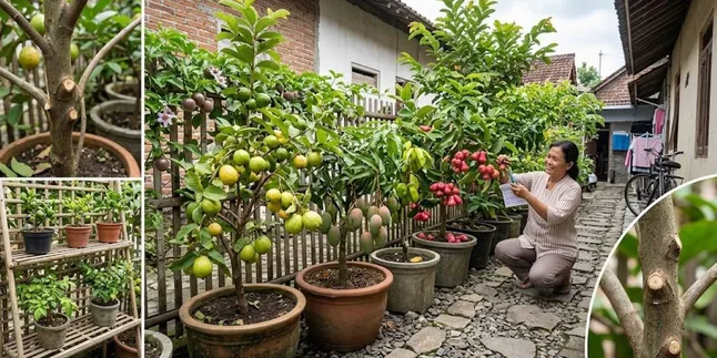 5 Tall Fruit Plants That Can Be Dwarfed and Still Produce Lots of Fruit