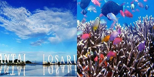 5 Tempat Wisata Di Sulawesi Selatan Yang Indah dan Mempesona