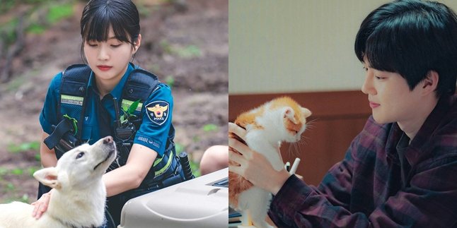 6 Korean Dramas about Animals Throughout the Story - Successfully Making Viewers Adorable