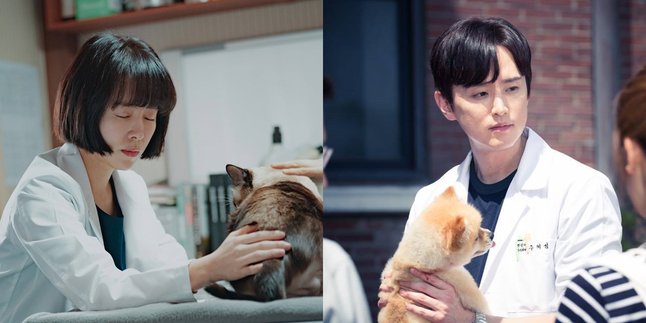6 Korean Dramas that Tell the Story of Animal Doctors, from Modern - Joseon Era