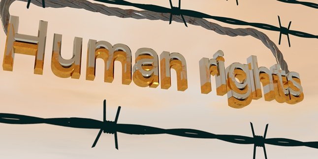6 Types of Human Rights (HAM) Along with Examples