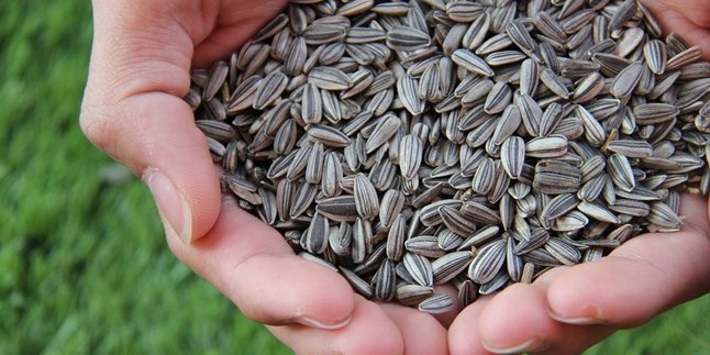 Good for Body Health - Pregnant Women, Here are 6 Benefits of Sunflower Seeds