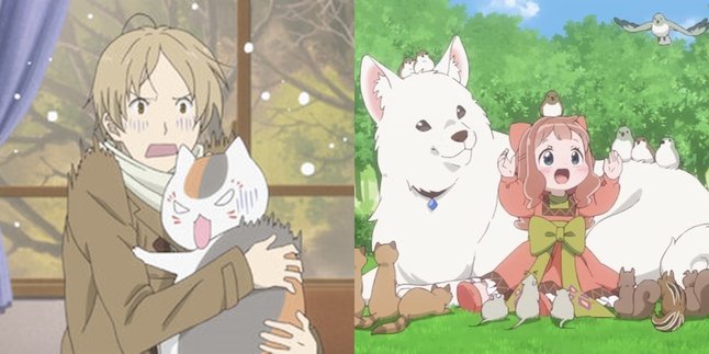 6 Recommendations for Anime about Heartwarming Friendships with Animals - Funny Moments