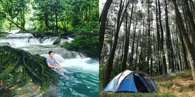 6 Wisata Alam Kekinian Dan Menakjubkan Di Bogor, Instagramable Banget Lho!