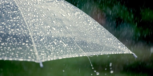 60 Kata Mutiara Hujan yang Menyentuh dan Penuh akan Makna Mendalam