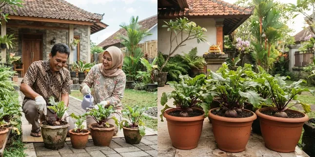 7 Ways to Grow Beets in Pots for Beginners, Worth It to Treat Many Diseases