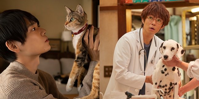 7 Japanese Dramas about Pets with Heartwarming Stories that Will Make You Feel Healed - Full of Kawaii Elements