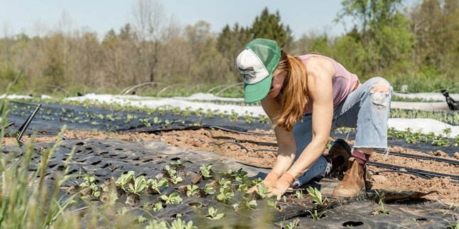 7 Good Days to Plant According to Javanese Primbon, A Complete Guide to Farming According to Tradition