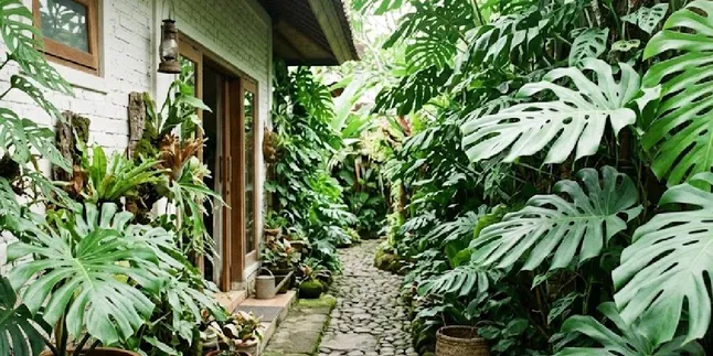 7 Inspirations to Transform the Side Corridor of Your House with a Monstera Garden, Making it Cool and Aesthetic