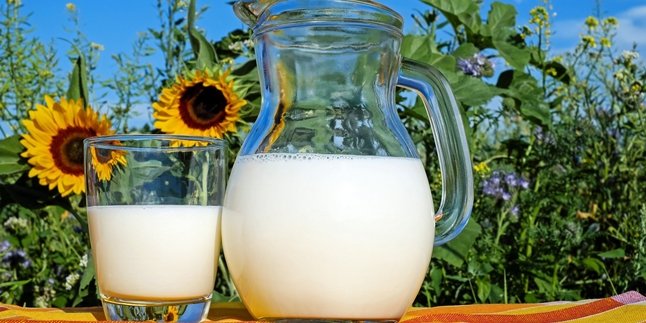 7 Manfaat Susu saat Diminum Dingin Maupun Hangat
