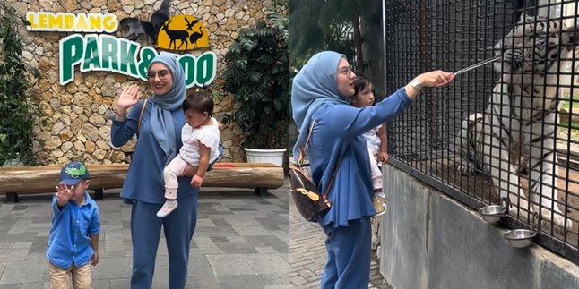 7 Portraits of Irish Bella Inviting Children to Go Out to the Zoo, Without Husband Even Though Ammar Zoni Has Been Released from Prison