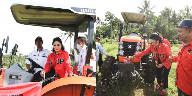 7 Potret Krisdayanti Blusukan Jalankan Tugas Jadi Anggota DPR, Panas-panasan Temui Petani - Naik Traktor ke Sawah 7 Potret Krisdayanti Blusukan Jalankan Tugas Jadi Anggota DPR, Panas-panasan Temui Petani - Naik Traktor ke Sawah