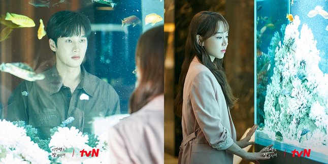7 Portraits of Shin Hye Sun and Ahn Bo Hyun in the Latest 2023 Korean Drama SEE YOU IN MY 19th LIFE, Adapted from Popular Webtoon