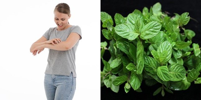 8 Natural Ingredients to Treat Itching, Easily Found and Safe to Practice