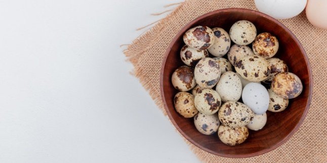 10 Kreasi Olahan Telur Puyuh Sederhana, Enak dan Mudah Dimasak