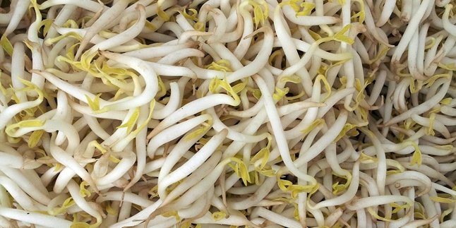 8 Ways to Store Bean Sprouts to Keep Them Fresh and Prevent Spoilage