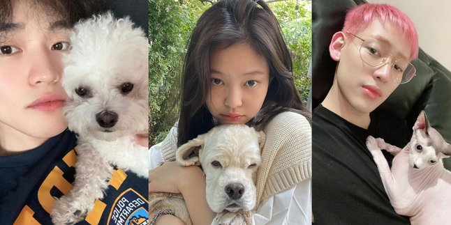 8 Cute K-Pop Idol Pets That Steal Fans' Attention