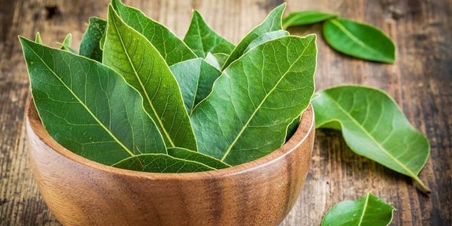8 Benefits of Boiled Bay Leaf Water for Health, Overcome Kidney Stones - Regulate Menstrual Cycle