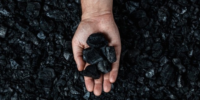 8 Benefits of Coal for Daily Life, Also Know Its Types