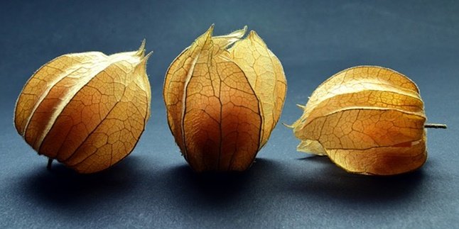8 Benefits of Ciplukan Fruit, Good for Eyes - Brain