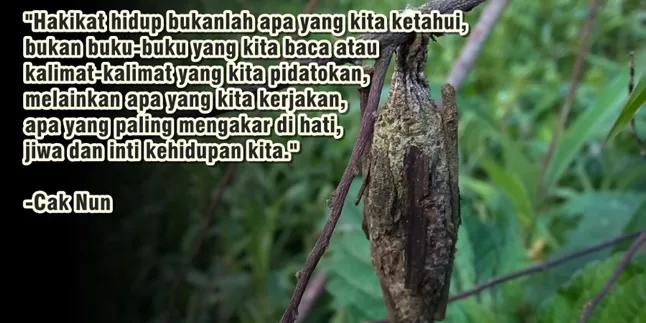 79 Kata-Kata Mutiara Cak Nun Penuh Makna Kehidupan, Berisi Motivasi dan Inspirasi