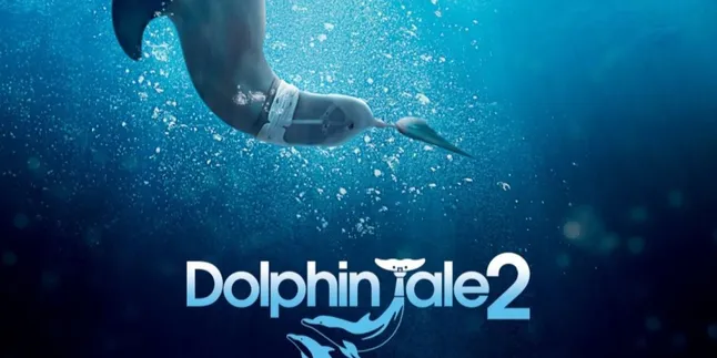 9 Recommendations for Touching Dolphin and Ocean Life Themed Movies, Full of Heartwarming Stories