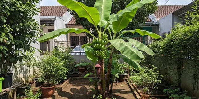 9 Low-Maintenance Fruit Plants Suitable for Beginners
