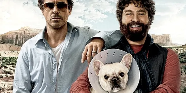 'DUE DATE', Perjalanan Panjang Menuju Rumah