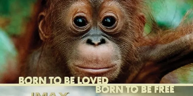 'BORN TO BE WILD', Terlahir di Alam Bebas