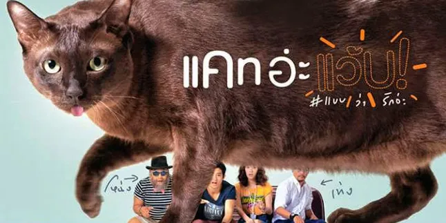 Kucing Lucu, Gadis Lugu, dan Cinta yang Malu-Malu