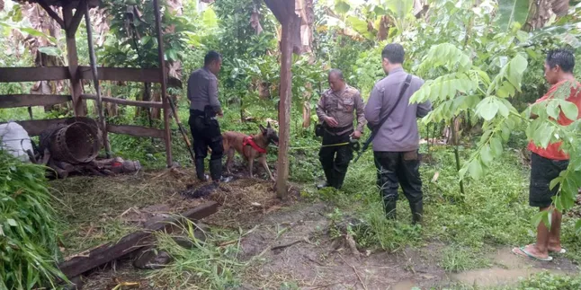 Anjing Unit K9 Diterjunkan untuk Pengejaran Pelaku Pembunuhan Ibu 2 Anak di Malang