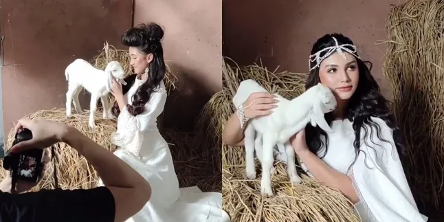 Anteng Digendong - Dielus-elus, Ini 7 Potret Dibalik Photoshoot Jihan Almira & Keisya Levronka Bareng Anak Kambing yang Banyak Kejadian Tidak Terduga