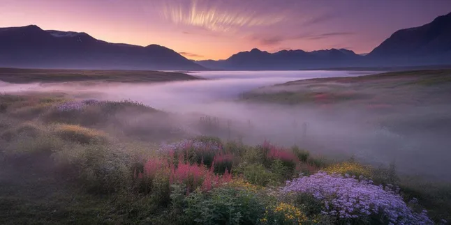 Apa Arti Nama Aurora: Makna Fajar yang Membawa Harapan dan Keindahan Apa Arti Nama Aurora: Makna Fajar yang Membawa Harapan dan Keindahan