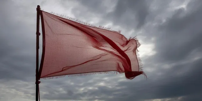 Apa Arti Red Flag: Memahami Tanda Bahaya dalam Hubungan dan Kehidupan