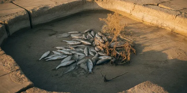 Arti Mimpi Kolam Ikan Airnya Habis: Makna dan Tafsir Lengkap