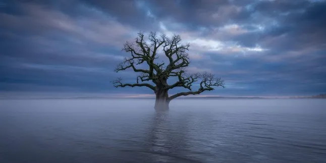 Arti Mimpi Melihat Danau Banjir: Makna dan Tafsir Mendalam