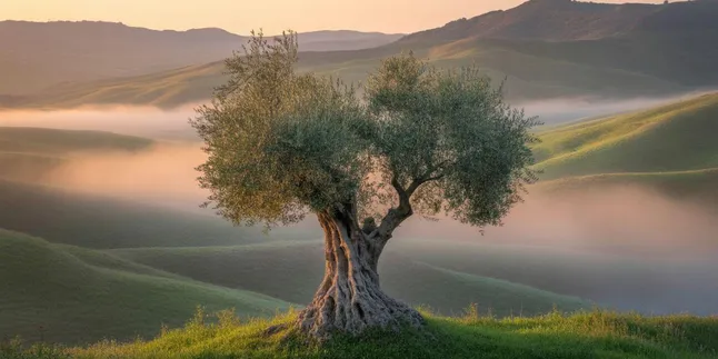 Arti Nama Immanuel: Makna Mendalam "Tuhan Beserta Kita"