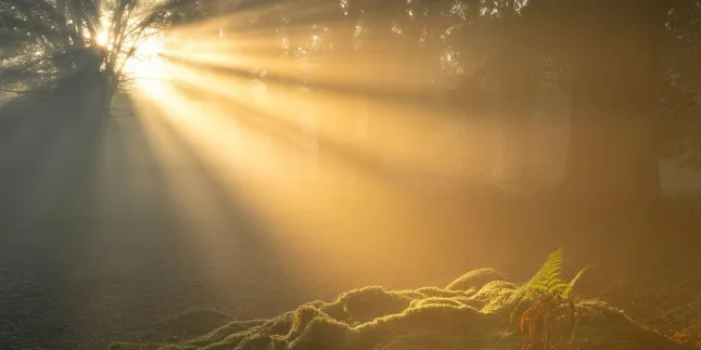 Arti Nama Kiran: Makna Sinar Cahaya yang Membawa Harapan