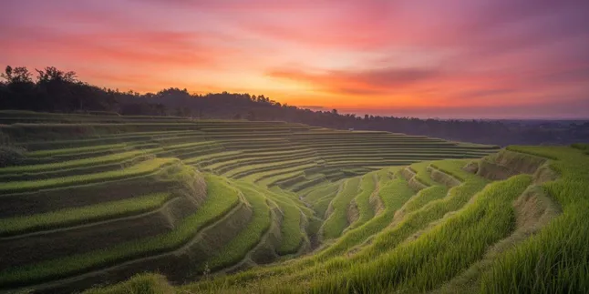 Arti Nama Lembayung: Makna Indah dari Bahasa Indonesia