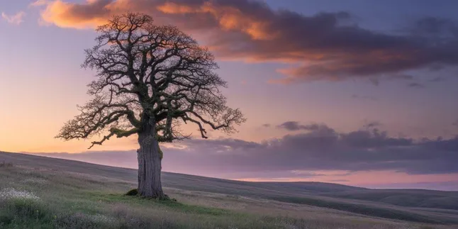 Arti Nama Senja: Makna Indah Waktu Menjelang Malam untuk Buah Hati