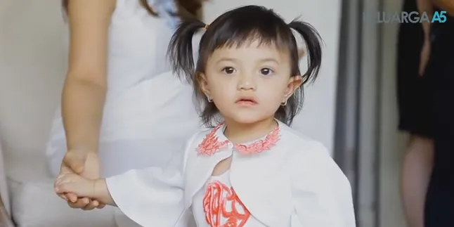 Asyik Pemotretan, Baby Arsy Malah Heboh Kejar-Kejar Musang