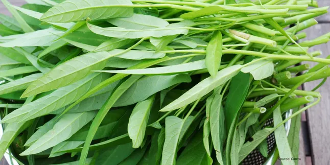 Baking Soda untuk Membersihkan Kangkung? Begini Caranya yang Efektif