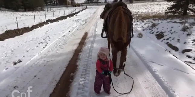 Balita Lucu Berhasil Mengendalikan Seekor Kuda