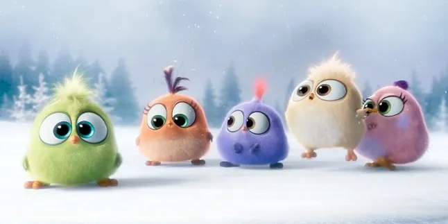 Baru Menetas, Bayi Burung 'ANGRY BIRDS' Bernyanyi & Bikin Gemas