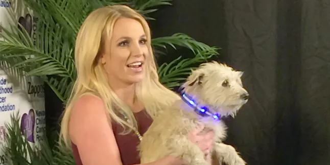 Baru Saja Tayang, Audio Britney-Iggy Didengar 3 Juta Orang